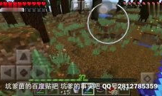 91坑爹直播诱惑,揭秘网络直播背后的真相与陷阱