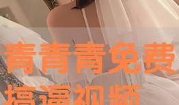 青青在线视频观看,畅游视频世界的精彩瞬间